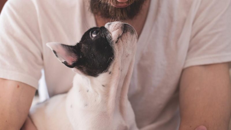 Tiergesundheit hängt auch vom Futter ab